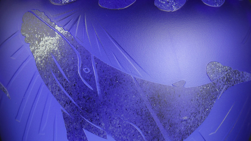 The Kohola Moe (dream)